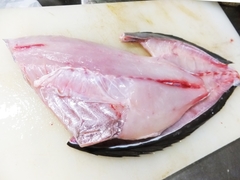 塩〆ニザダイの握り ネギとショウガ風味 (4).jpg