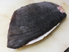 7月中旬のニザダイの生食 (2).jpg