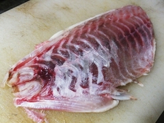 7月中旬のニザダイの生食 (3).jpg