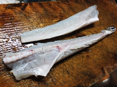 初夏のマゴチの塩〆の薄造り (12).jpg