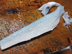 初夏のマゴチの塩〆の薄造り (13).jpg