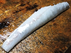 初夏のマゴチの塩〆の薄造り (14).jpg