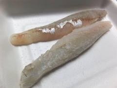 初夏のマゴチの塩〆の薄造り (16).jpg