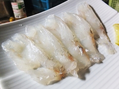 初夏のマゴチの塩〆の薄造り (18).jpg